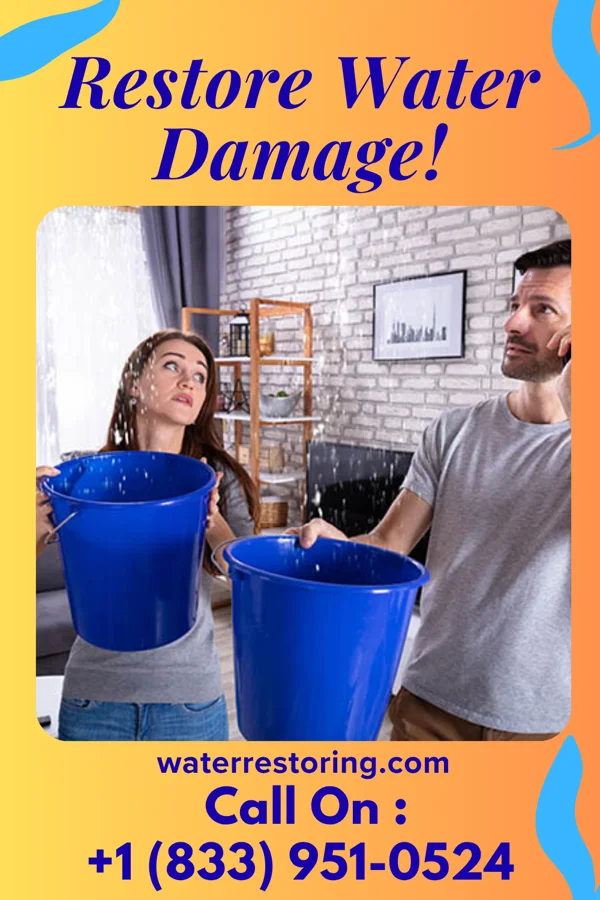 water restoration Summit Restoration Solutions Pros Piney Point